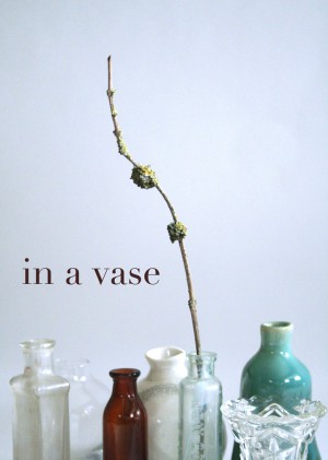 Post image for ‘in a vase’